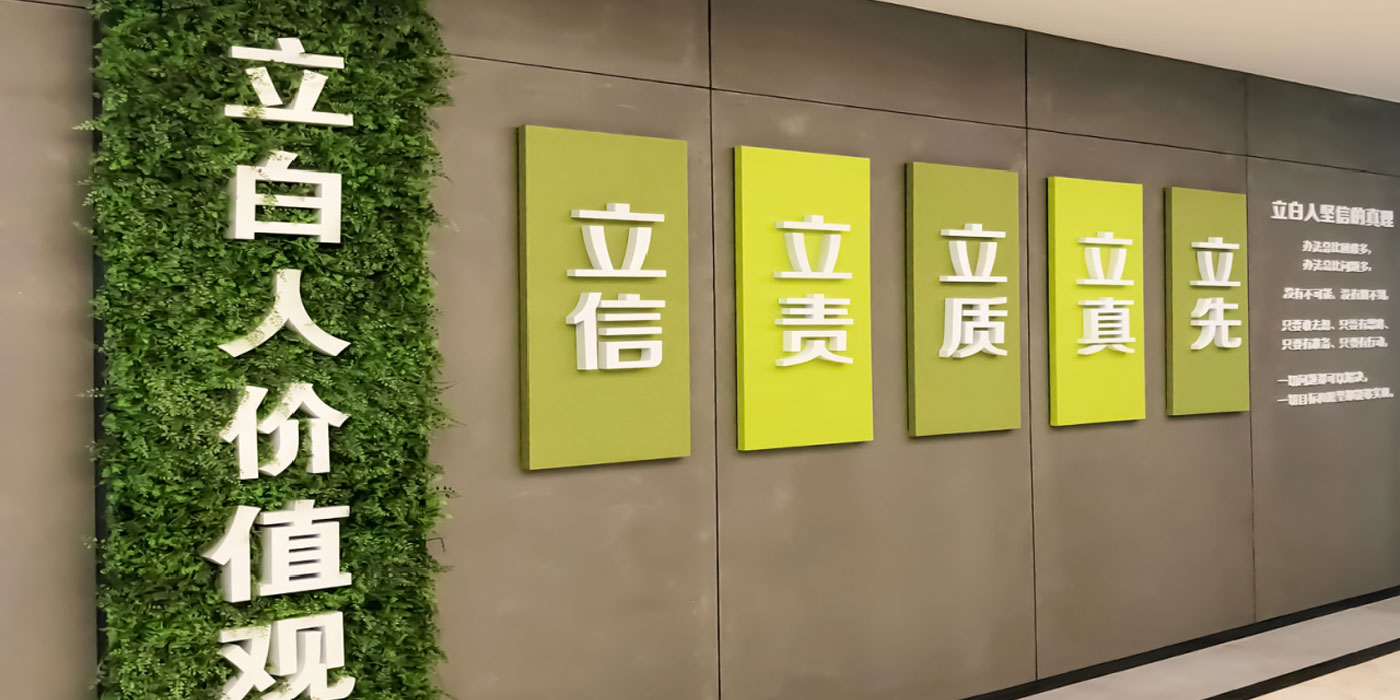 企业文化项目